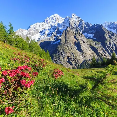 Plan Gorret Wonderful Flat In Apartament